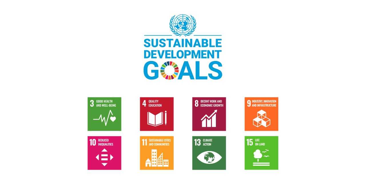 Sustainable development goals