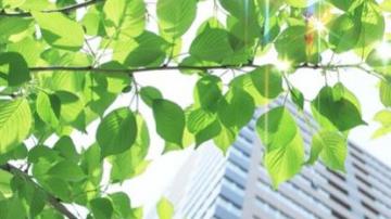 Environnement